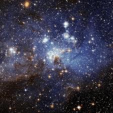 cosmos